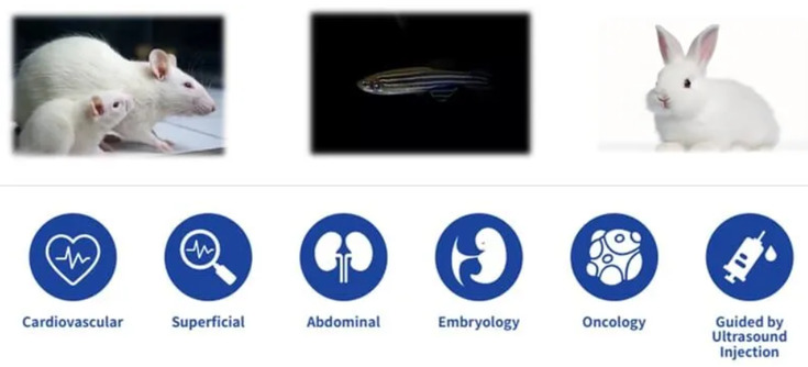 Applications of RevoSilex F30/F60