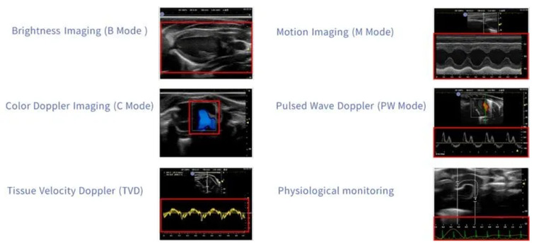 Applications of RevoSilex F30/F60