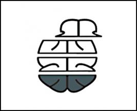 Microtomes