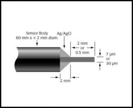 Nitric Oxide (NO) Sensors
