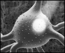 Optogenetics