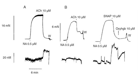 ISO-NOP figure2