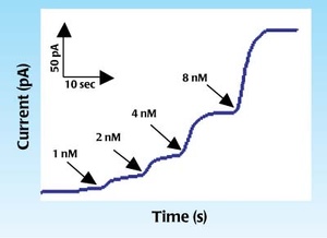 The response of the ISO-NOPF to NO