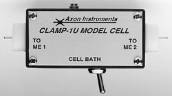 Axon